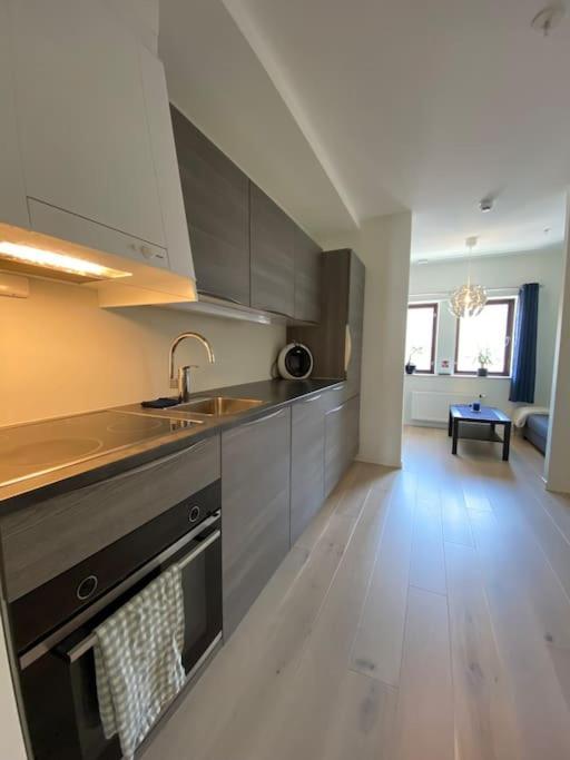 Moderne Leilighet Midt I Sentrum Av فردريكسْتاد المظهر الخارجي الصورة