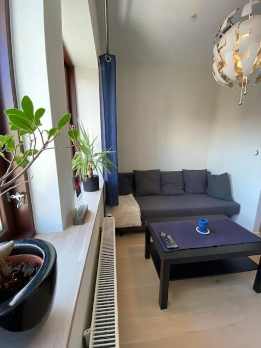 Moderne Leilighet Midt I Sentrum Av فردريكسْتاد المظهر الخارجي الصورة
